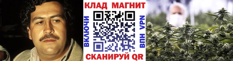 Виды наркотиков купить Георгиевск АМФЕТАМИН  A PVP  MDMA  Канабис  ГАШИШ  Меф 