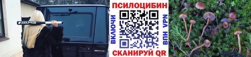 Псилоцибиновые грибы Magic Shrooms mega Георгиевск